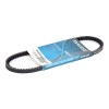 CORREA BOMBA DE AGUA GOL G1 / G2 1.6D 10X600 Correa Bomba De Agua Gol G1 / G2 1.6d 10x600