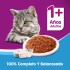 WHISKAS PATE LATA ALIMENTO HUMEDO ATUN 340 GR