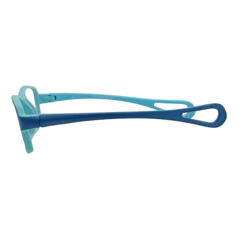 FY050306 azulcombinado