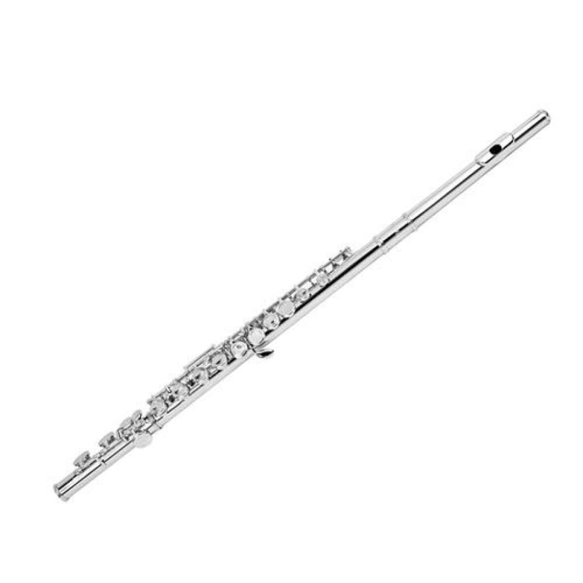 Flauta Traversa Memphis - Ft6456 