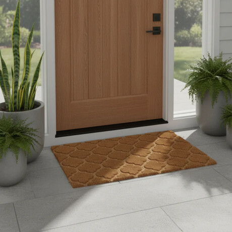 Alfombra Puerta Entrada Felpudo Coco Goma 40X60 Entramados