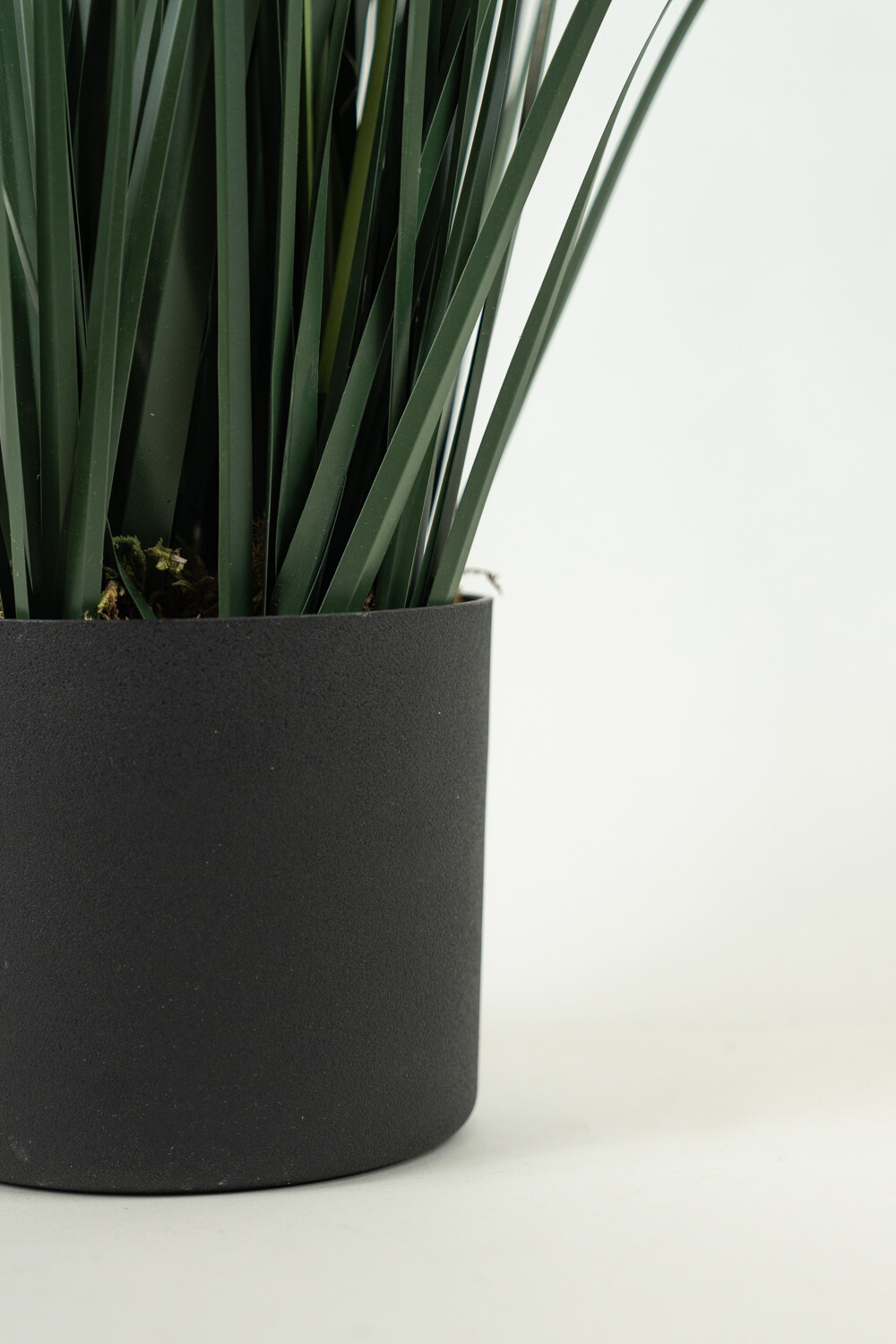 Planta Grass Violet 95cm Color Unico