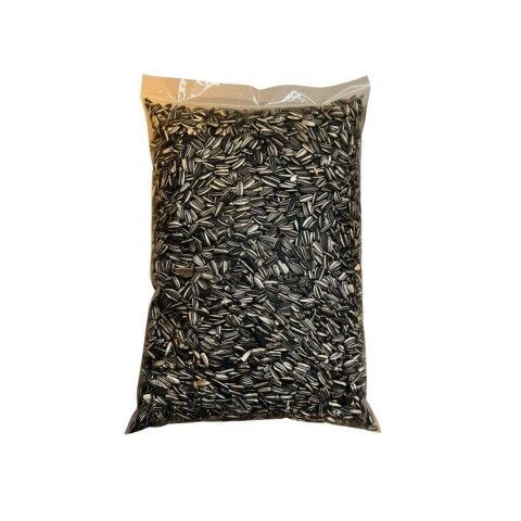 Girasol Grande 1 Kg (Rodivita) Girasol Grande 1 Kg (Rodivita)