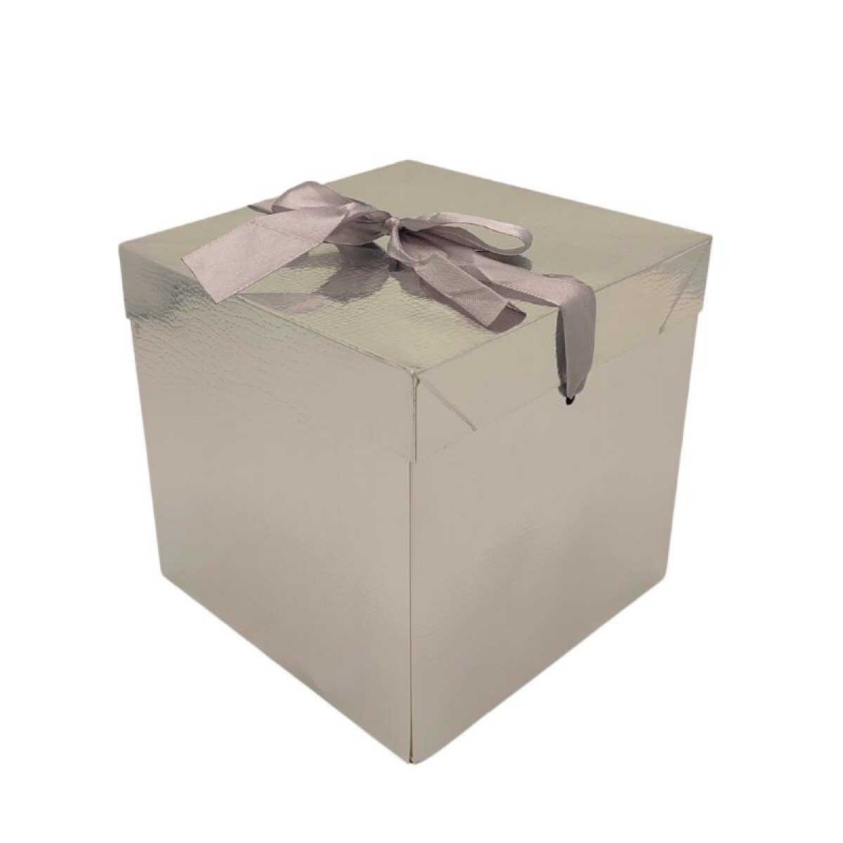 Caja de Regalo Mediana Metalizada - Plateado 