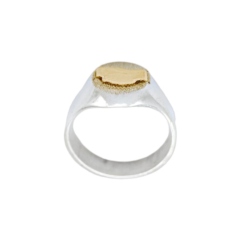 Anillo Profesión Asistente social-Plata y Oro-Sin Piedra-AP5001 Sinpiedra