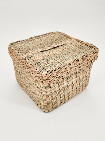 CANASTA CON TAPA MARRON