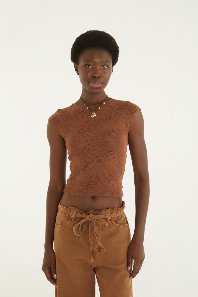TOP Terracota
