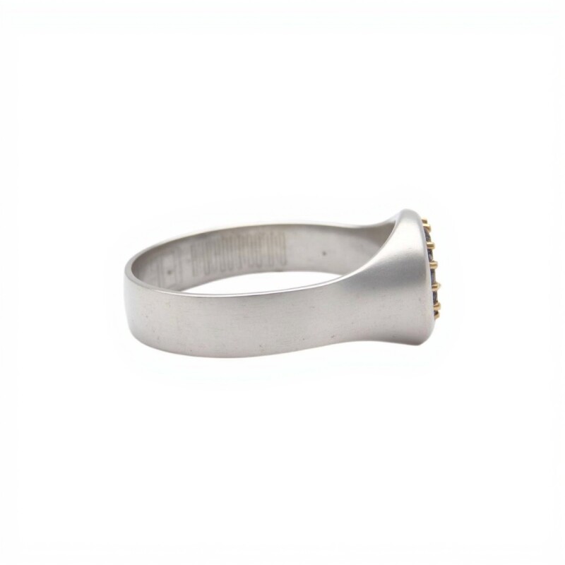 Anillo Profesión Partera-Plata y Oro-Sin Piedra-AP5003 sinpiedra