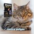 PIPETA SHOOTER PREMIUM GATO 0.5 ML PIPETA SHOOTER PREMIUM GATO 0.5 ML