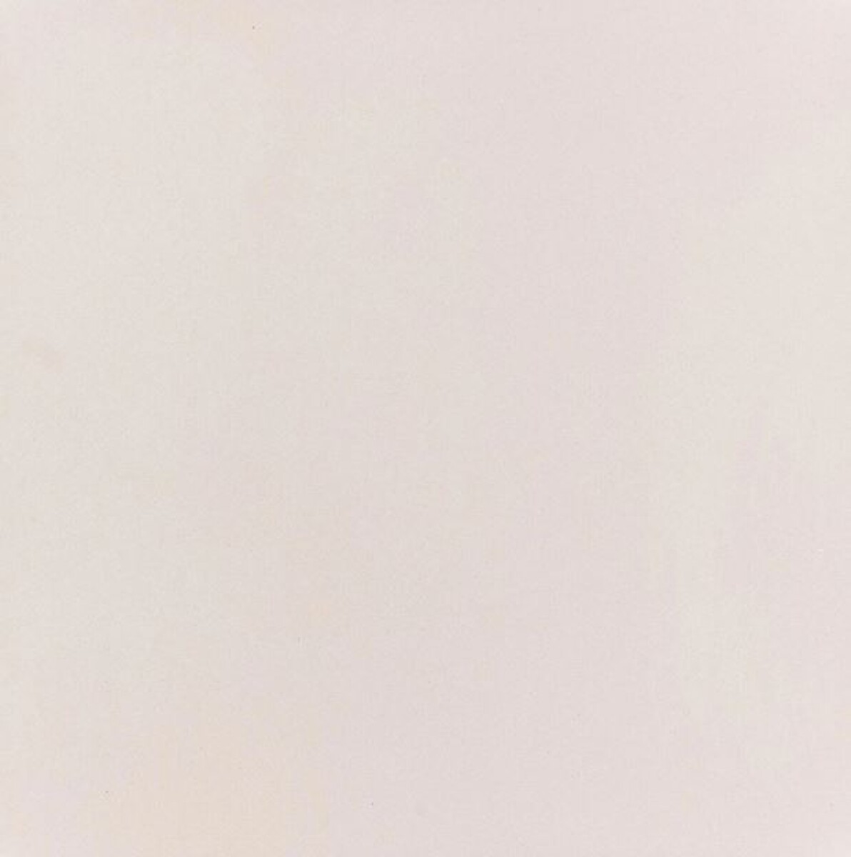 Porcelanato Bianco Master Pulido 62.5 x 62.5 cm 