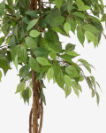 Árbol artificial Ficus con maceta negra 180 cm Árbol artificial Ficus con maceta negra 180 cm