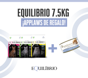 HomeMedio1
