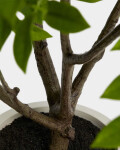 Árbol artificial Rhus con maceta blanca 185 cm Árbol artificial Rhus con maceta blanca 185 cm