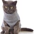 Sweater Para Gato Tejido Sweater Para Gato Tejido