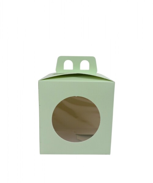 Caja 13x13x12 con visor + asa. VERDE AGUA