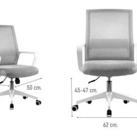 Silla de Oficina Ryan Gris/blanco 001