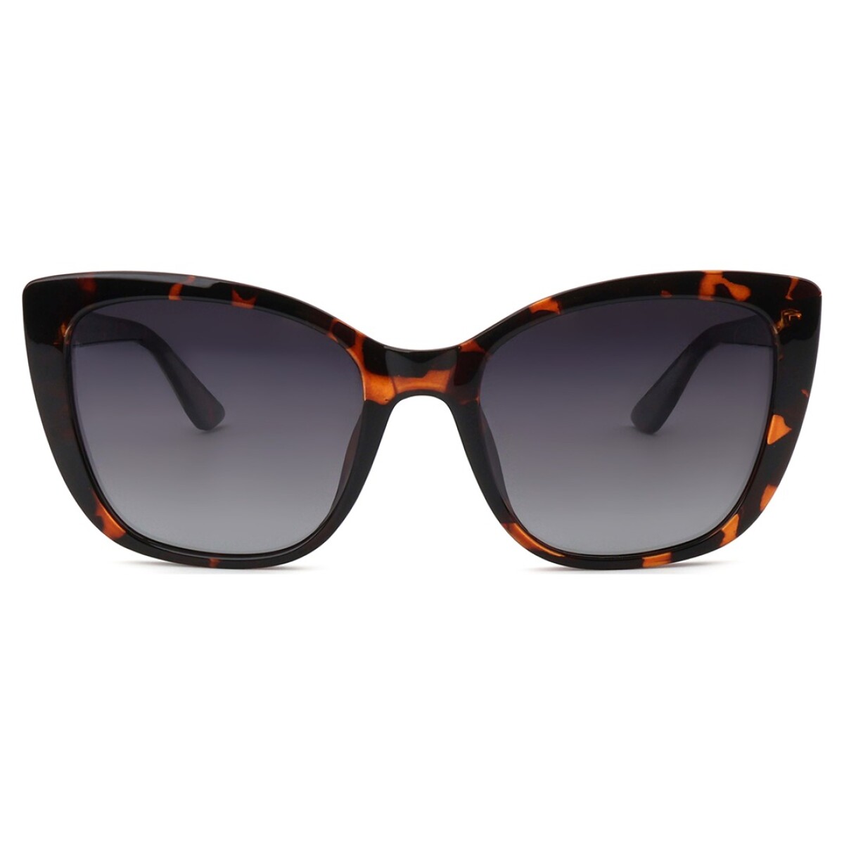 Lentes de Sol Chilli Beans Florida Cat - Animal Print 