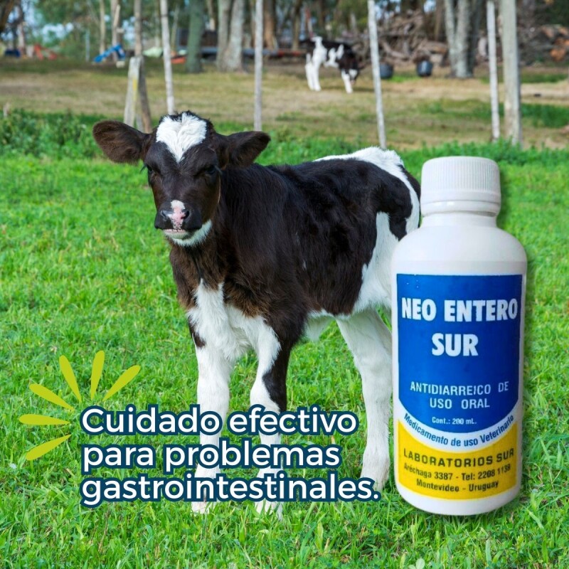 NEO ENTERO SUR 200 ML NEO ENTERO SUR 200 ML