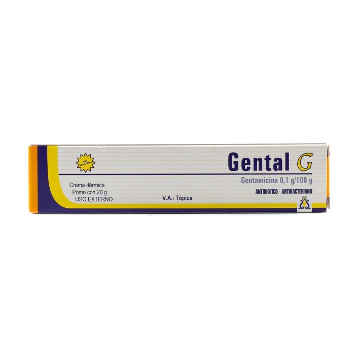 GENTAL G CREMA DERMICA POMO X 20 GRAMOS única