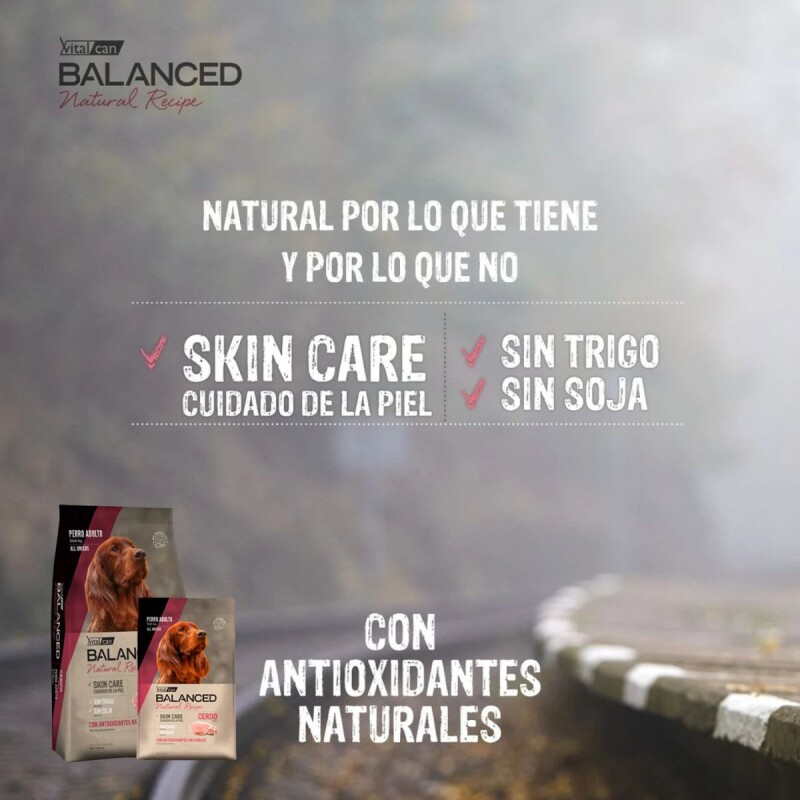VITALCAN BALANCED EXCLUSIVE PERROS ADULTOS CERDO 3 KG