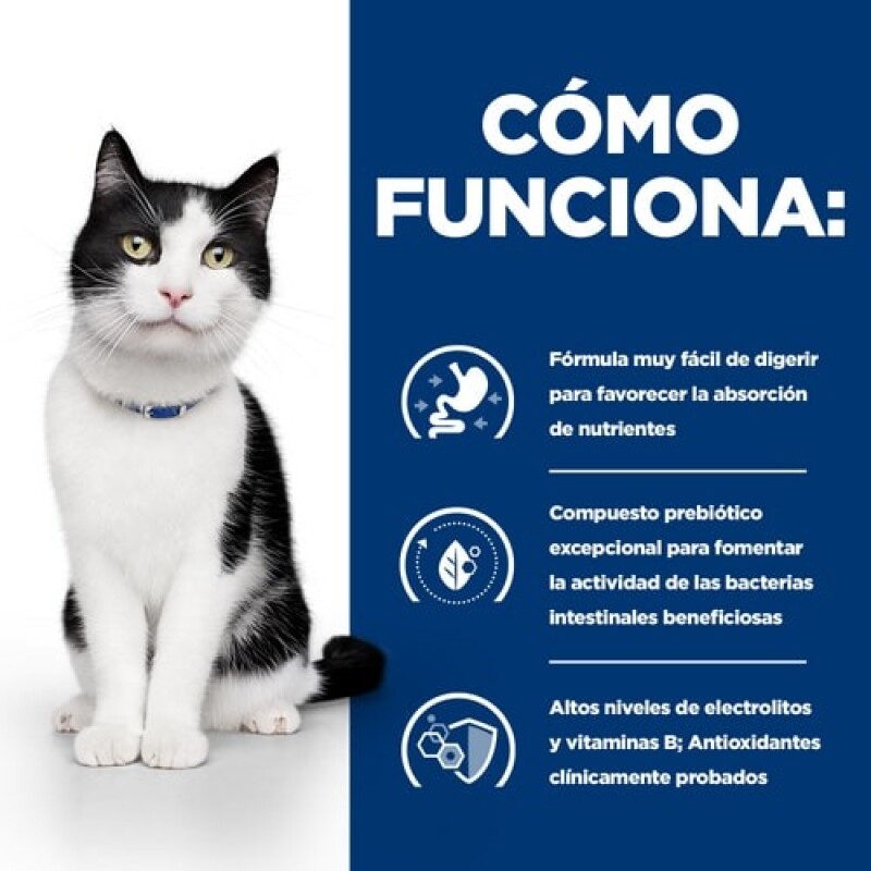 LATAS HILL´S I/D GATOS CUIDADO DIGESTIVO 156 GRS LATAS HILL´S I/D GATOS CUIDADO DIGESTIVO 156 GRS