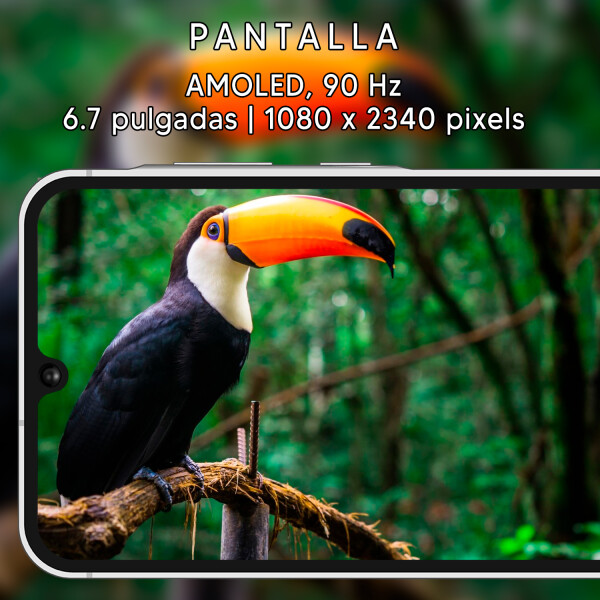 Samsung A16 4/128 Gb 4g + Regalo GRIS