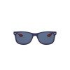 Ray Ban Junior Rj9052s 178/80