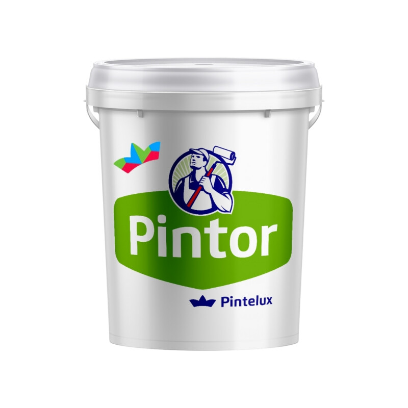 PINTOR INTERIOR/EXTERIOR PLUS - 10LTS PINTOR INTERIOR/EXTERIOR PLUS - 10LTS