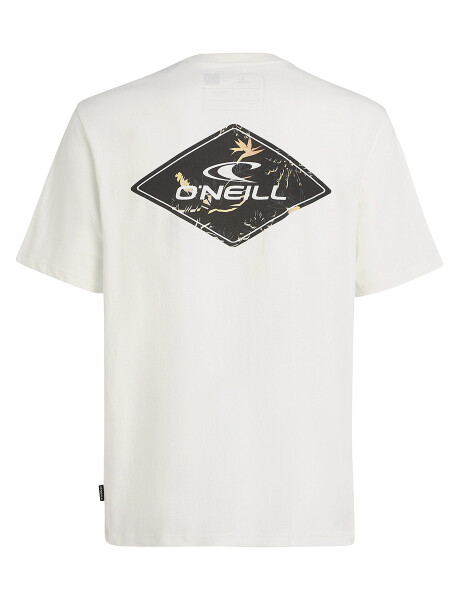 Remera O'Neill Global Triangle Blanca Remera O'Neill Global Triangle Blanca