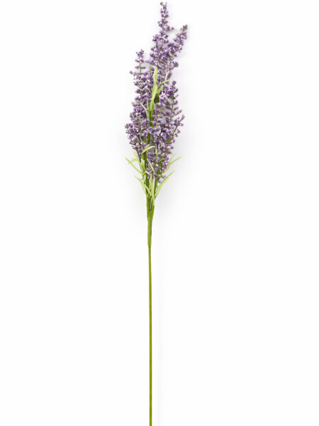 FLOR ROCIO DE PRIMAVERA LILA