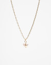 Cadena Corta con Dije Special Price Collar Corto Con Dije Mariposa - Dorado