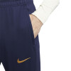 PANTALON NIKE PSG STRIKE 498