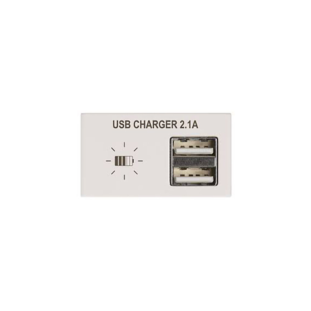 Módulo cargador p/2 USB 2,1A Duomo blanco ELE01402