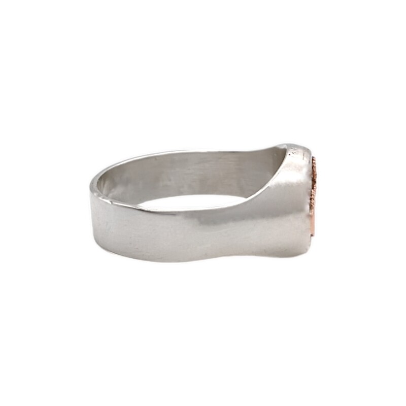 Anillo Profesión Instrumentista quirurgico-Plata y Oro-Sin Piedra-AP5004 Sinpiedra