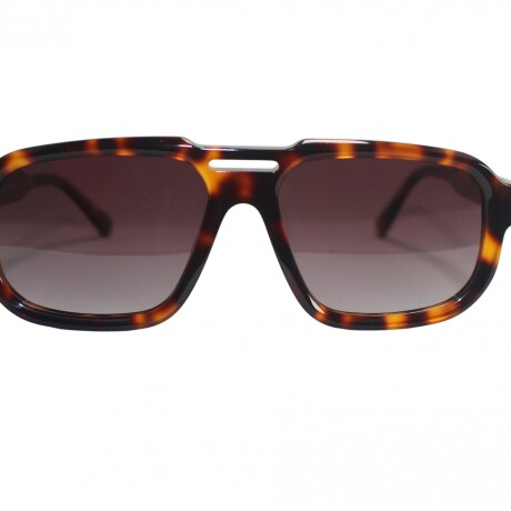 6077 Sol Carey+Marron
