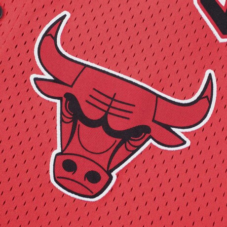 CAMISETA NBA Bulls