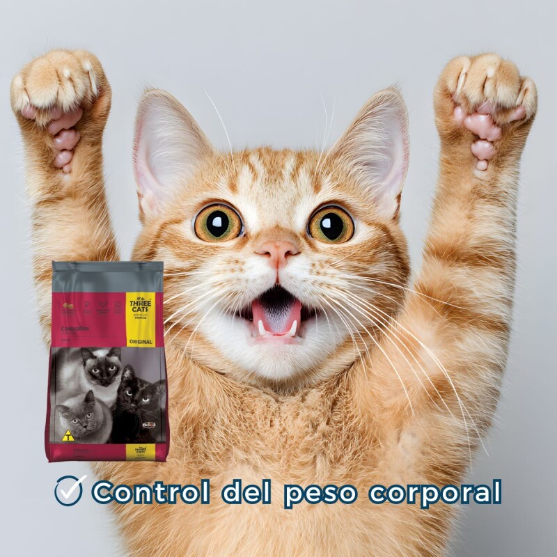 THREE CATS CASTRADOS 1 KG SUELTO THREE CATS CASTRADOS 1 KG SUELTO