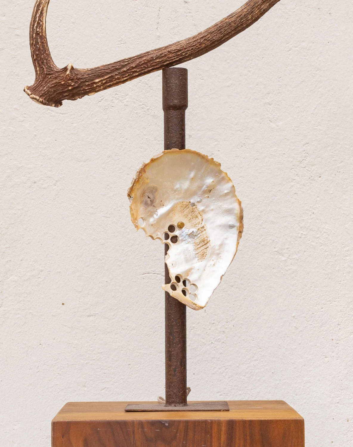 Nácar Lamp