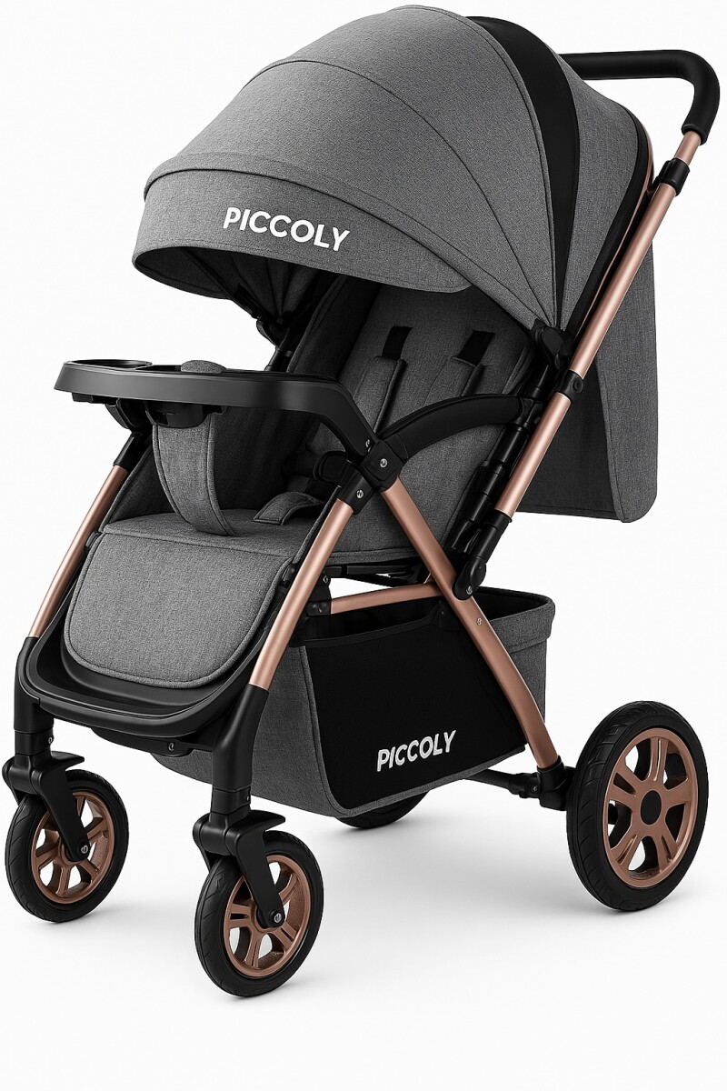 Coche Carriola de Paseo Para Bebe Plegable - Gris 