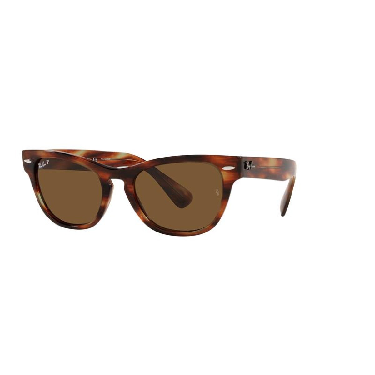 Ray Ban Rb2201 Laramie - 954/57 