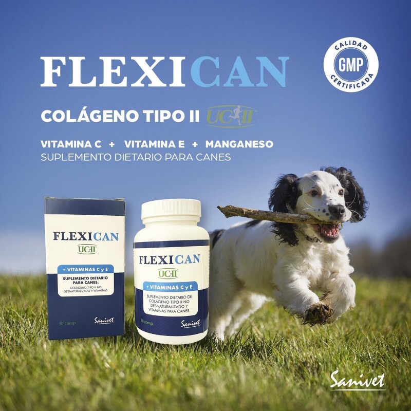 FLEXICAN SUPLEMENTO ARTICULAR CON COLAGENO PARA PERROS 30 COMPRIMIDOS FLEXICAN SUPLEMENTO ARTICULAR CON COLAGENO PARA PERROS 30 COMPRIMIDOS