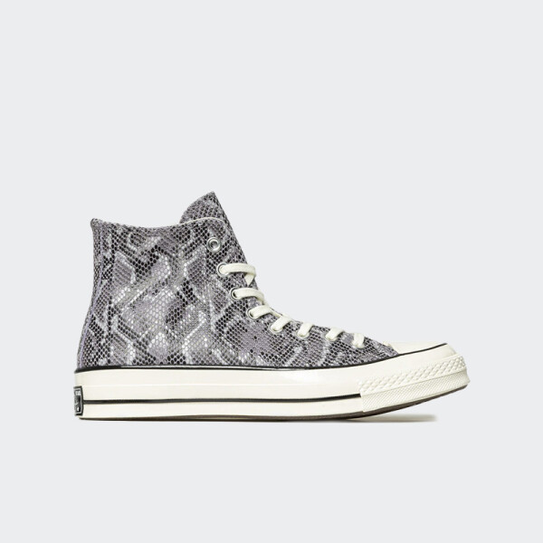 Championes Converse Chuck 70 High Wild Life Gris