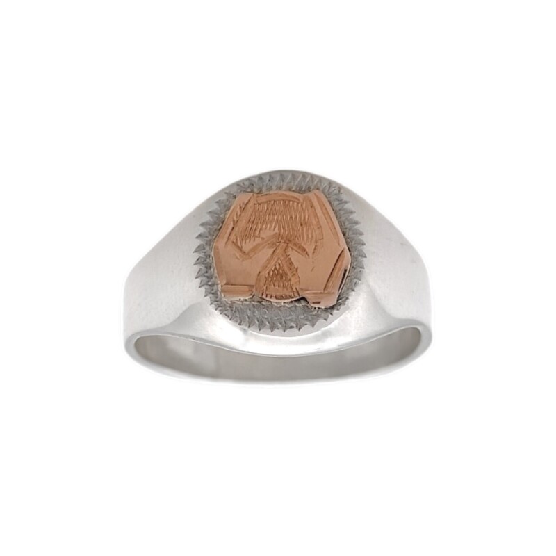 Anillo Profesión Masajista-Plata y Oro-Sin Piedra-AP5010 Sinpiedra