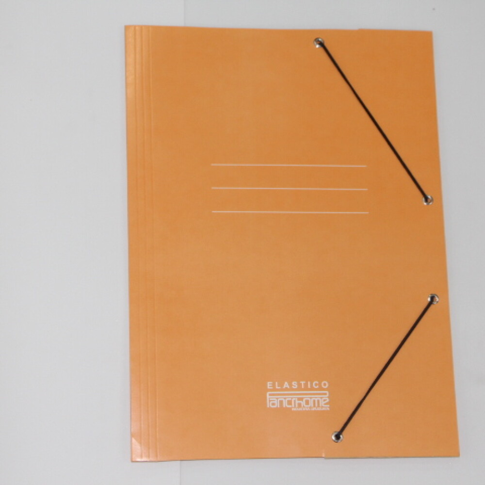 CARPETA PANCHROME CON ELASTICO 307 COLOR NARANJA CARPETA PANCHROME CON ELASTICO 307 COLOR NARANJA