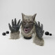 Disfraz De Lobo Disfraz De Lobo