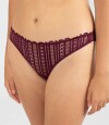 Colaless siren Bordeaux
