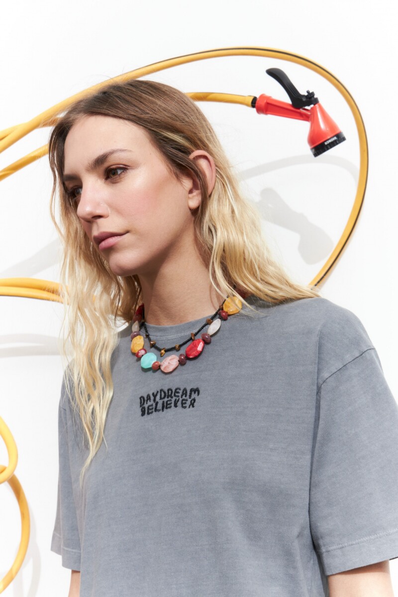 Remera washed bordada daydream - gris 