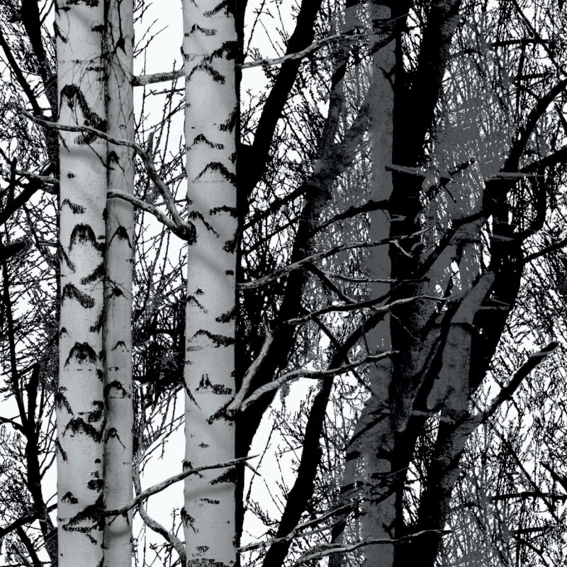 CONTACT D-C-FIX BIRCH WOOD N/A