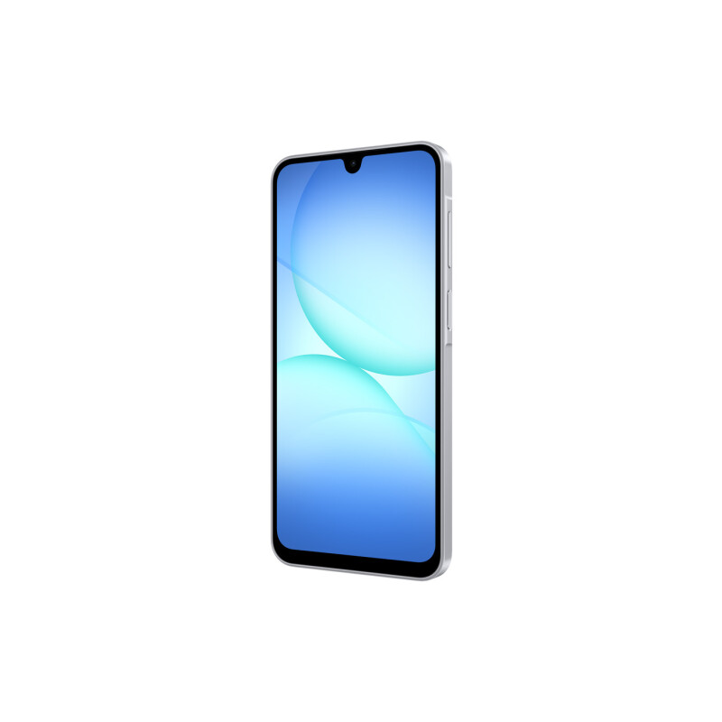 Samsung Galaxy A17 LTE 256 GB Gray