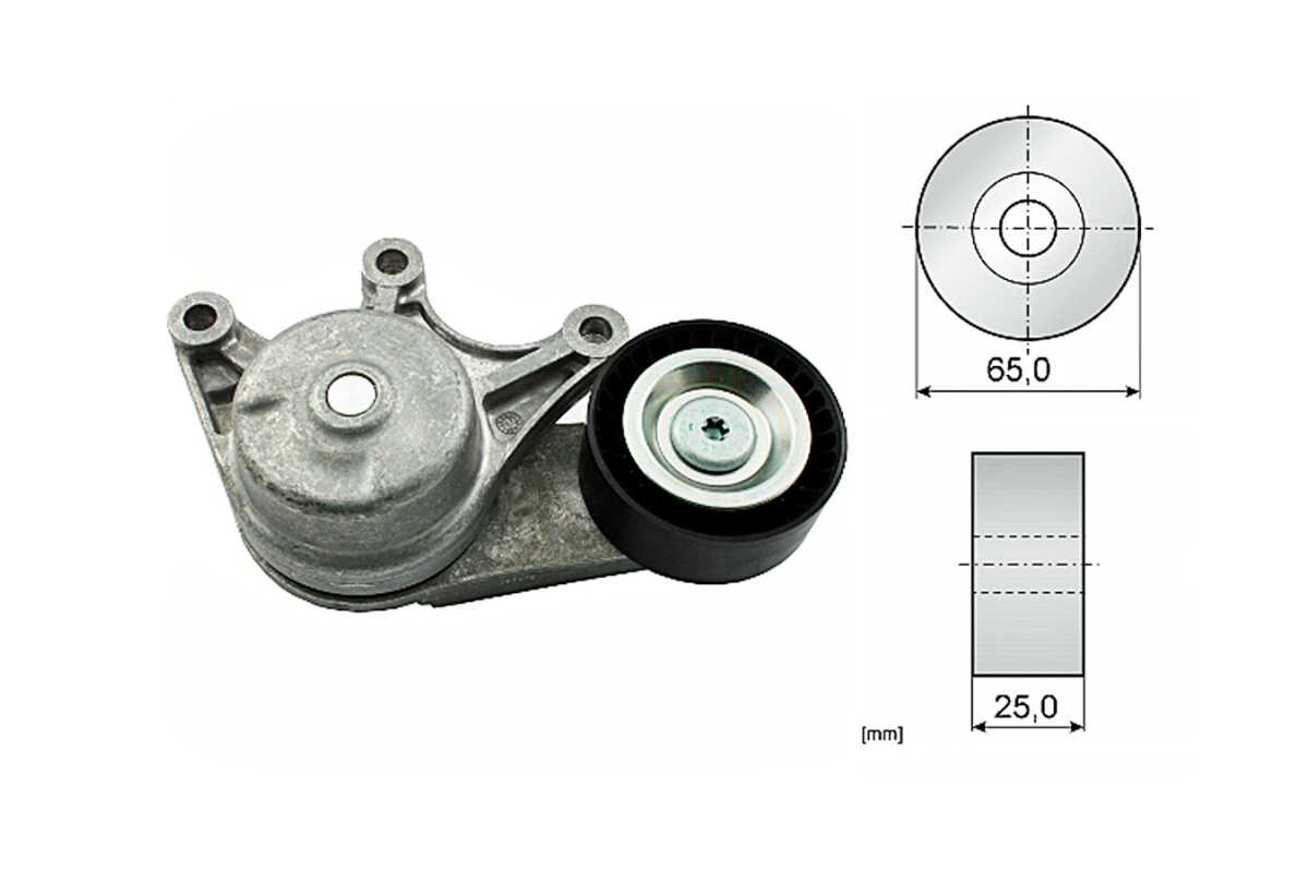 Tensor De La Correa BMW X3 Xdrive 28I (F25)/528I (F10)/X1 20I (E84)/328I (F30)/X3 Xdrive 20I / Sdrive 20I (F25)/320I (F30)/520I Tensor De La Correa BMW X3 Xdrive 28I (F25)/528I (F10)/X1 20I (E84)/328I (F30)/X3 Xdrive 20I / Sdrive 20I (F25)/320I (F30)/520I